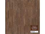 TARKETT SALSA PREMIUM ASH GARNET BR (ЯСЕНЬ ГРАНАТ) 3-полосный