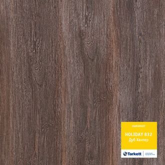 http://laminat.ksworks.ru/files/products/laminat-tarkett-holiday-832-dub-hanter.800x600w.jpg?9fadd902ab85e7218785b813d6ec63c4